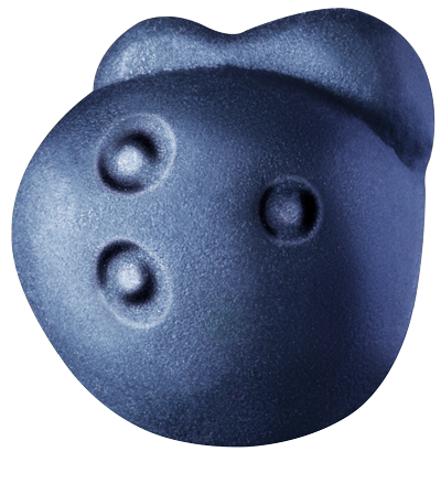 BLUEBERRY